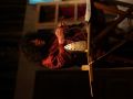 DSC02206